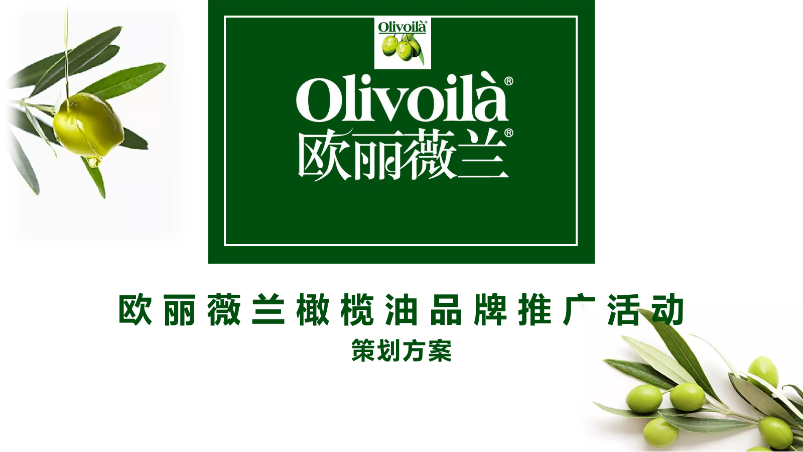 百货欧丽薇兰橄榄油品牌地推暖场活动策划案.ppt_第1页
