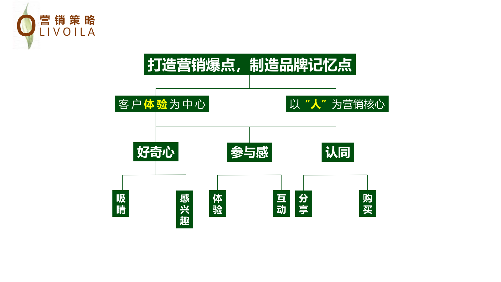 百货欧丽薇兰橄榄油品牌地推暖场活动策划案.ppt_第4页