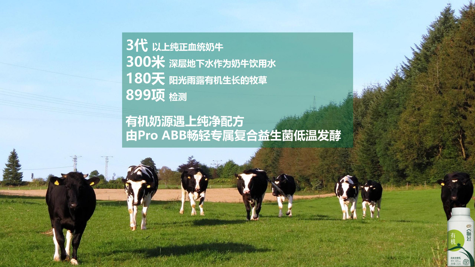 畅轻IP营销活动开播前预热活动.pptx_第6页