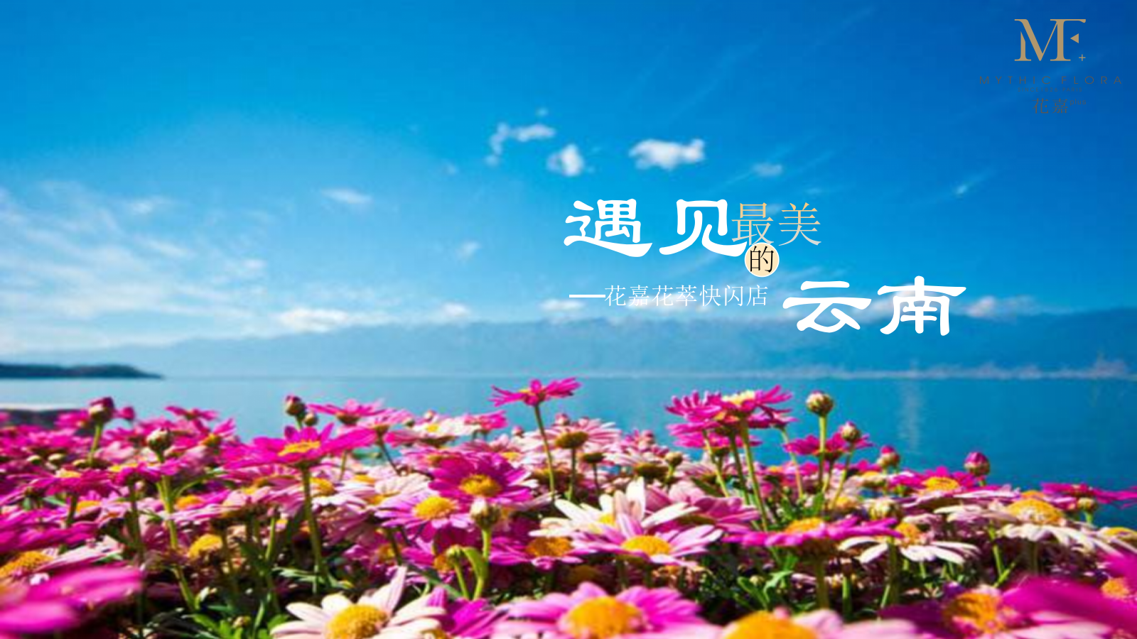 花嘉快闪店区域打造方案.pptx_第1页