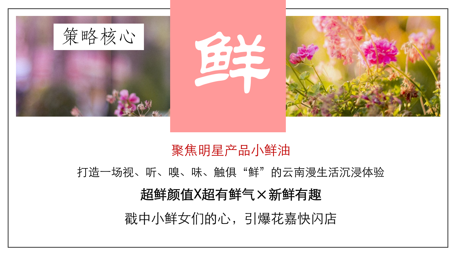 花嘉快闪店区域打造方案.pptx_第2页