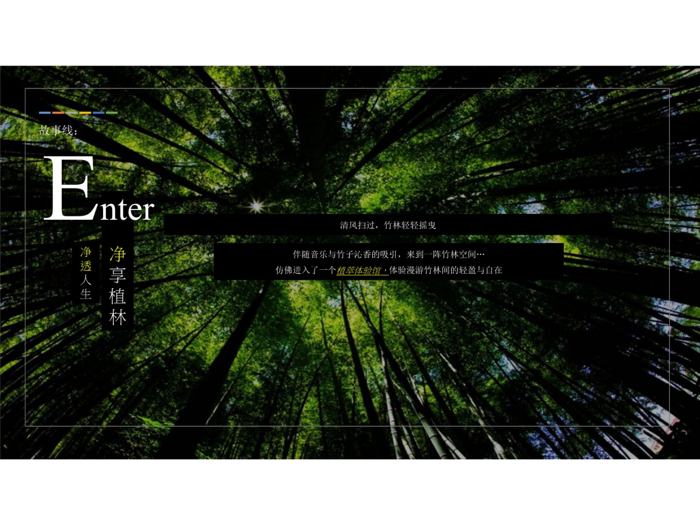 （日用日化）清扬Crystal 线下活动方案.pptx_第10页