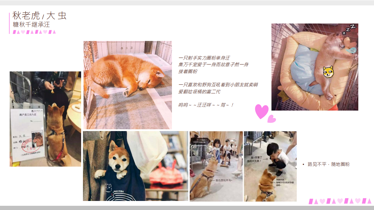 ［人生加糖 甜品治愈展 ] .pdf_第7页