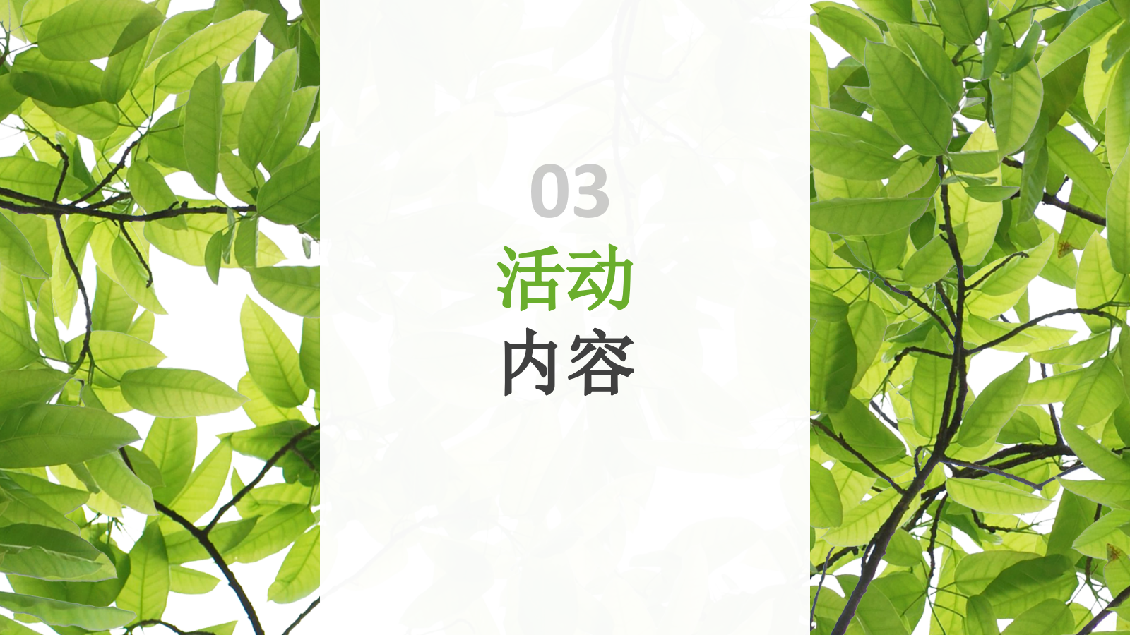 【方案】伊利金典端午节路演＆MINI秀思路案.pptx_第8页