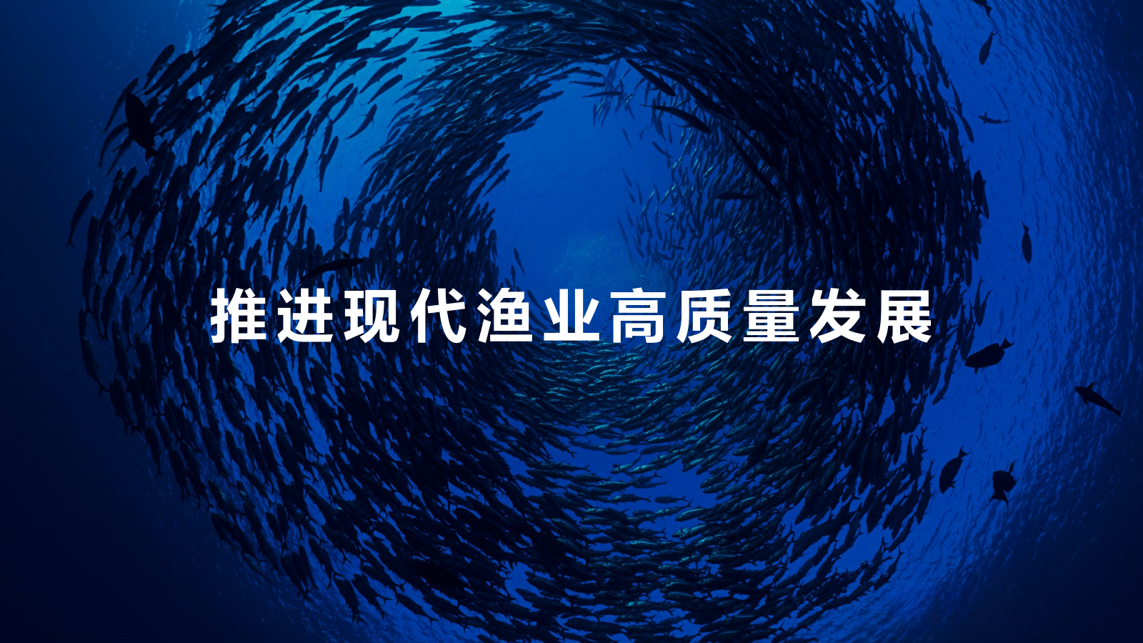 2024渔业博览会氛围提升方案.pptx_第4页