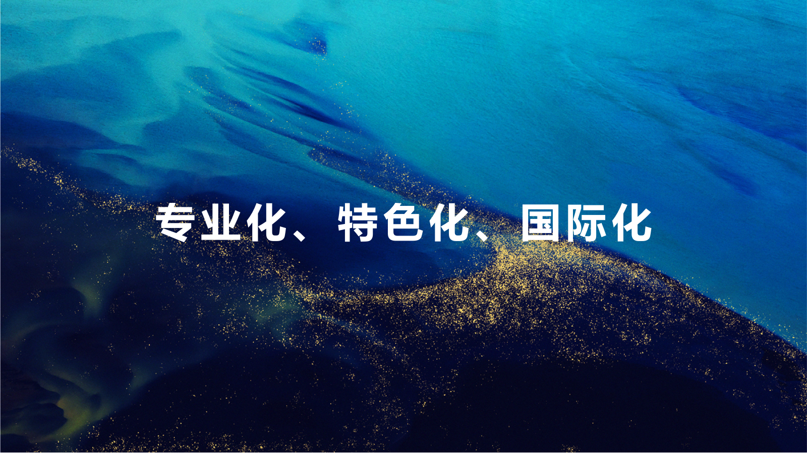 2024渔业博览会氛围提升方案.pptx_第5页