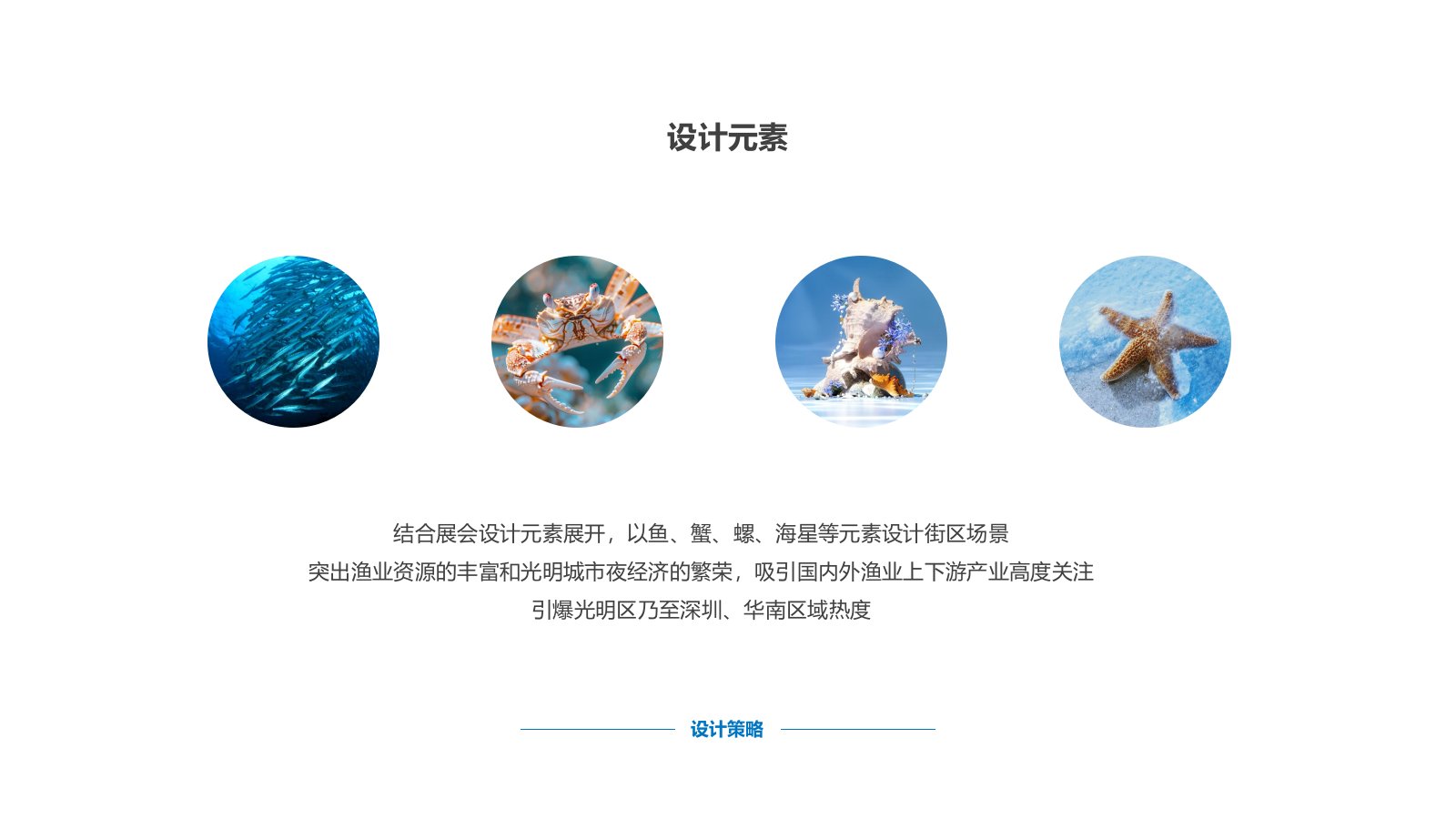 2024渔业博览会氛围提升方案.pptx_第9页