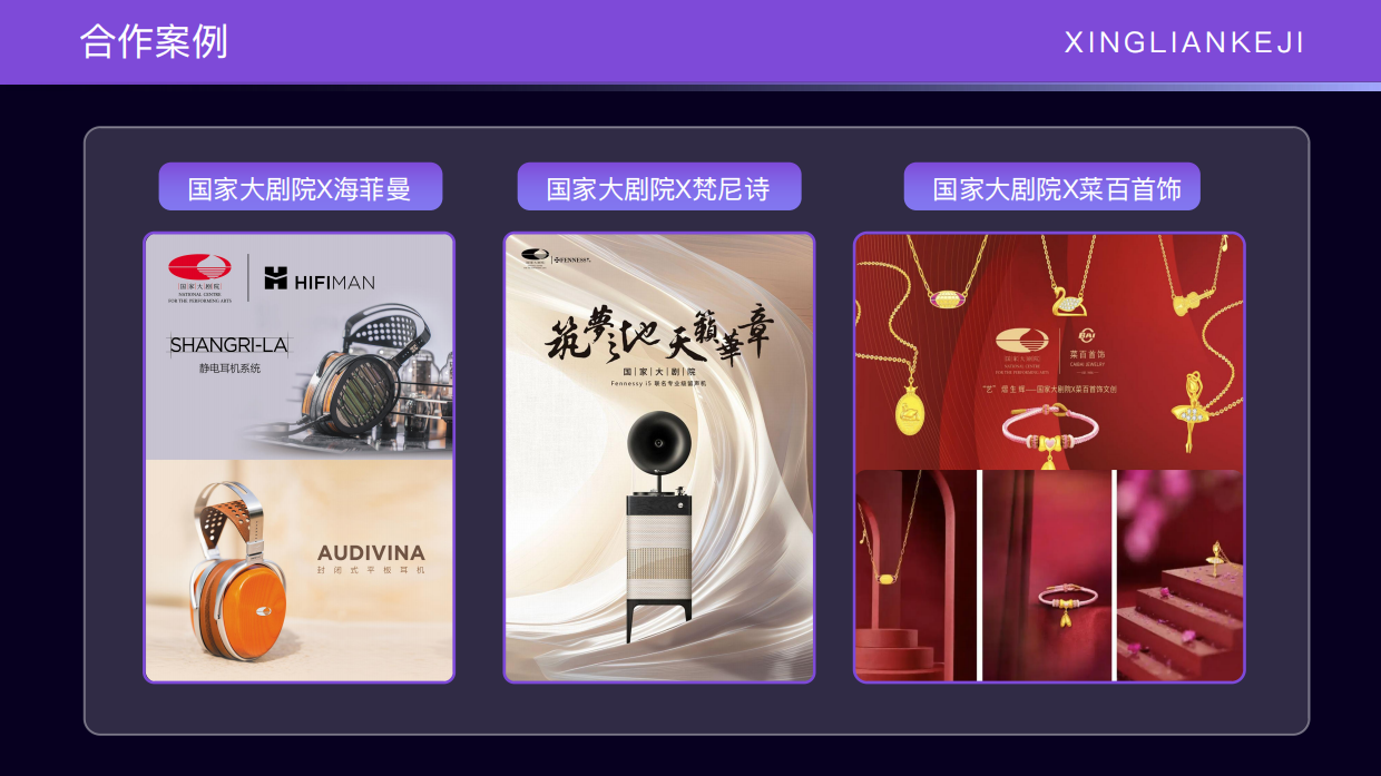 北京兴链IP手册2026.pdf_第10页