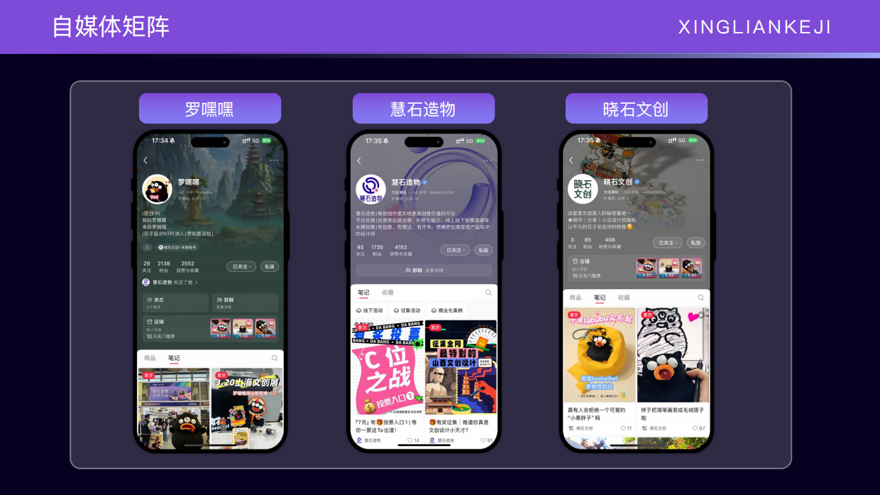 北京兴链IP手册2026.pdf_第6页