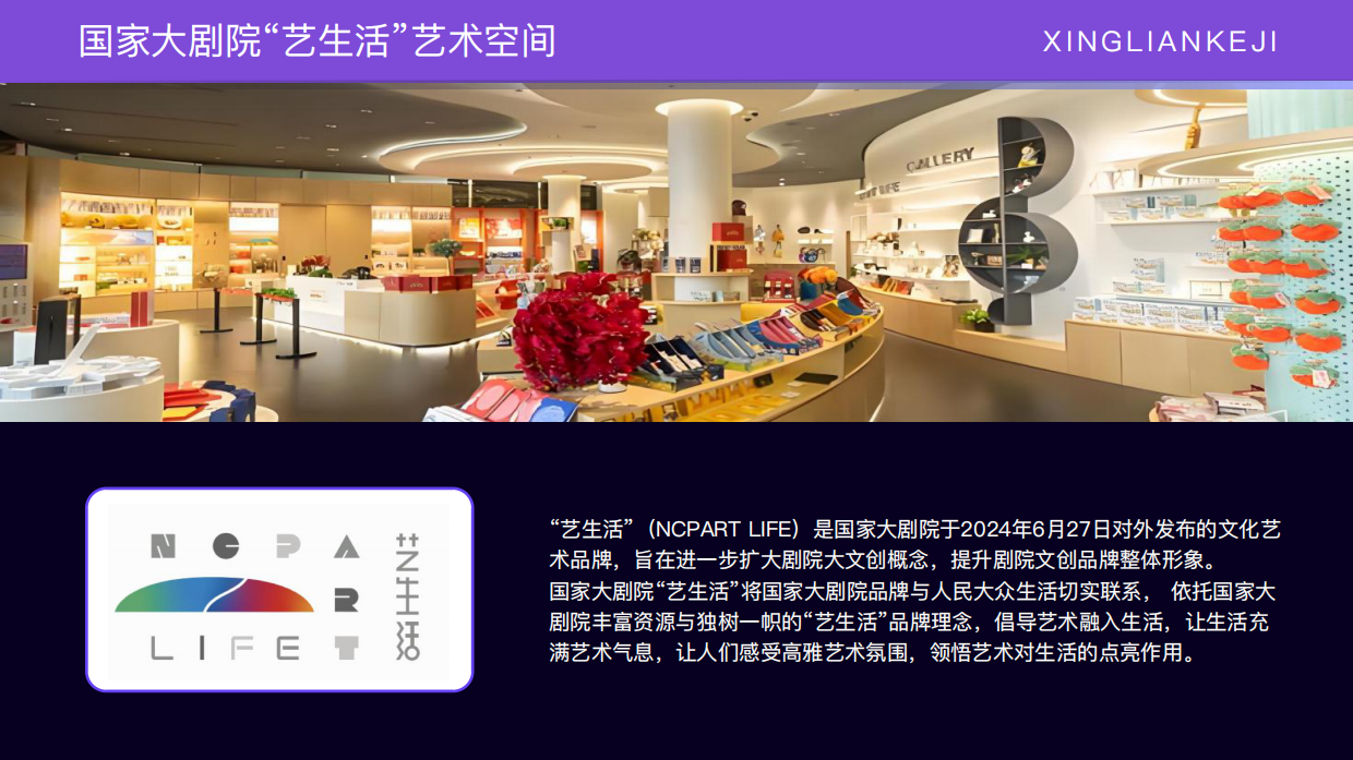 北京兴链IP手册2026.pdf_第9页