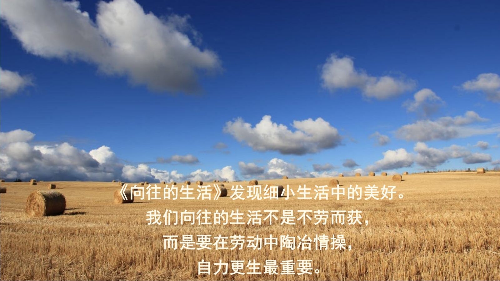 2026农趣嗨翻天向往的生活春日农耕体验公司团建活动方案.pptx_第3页