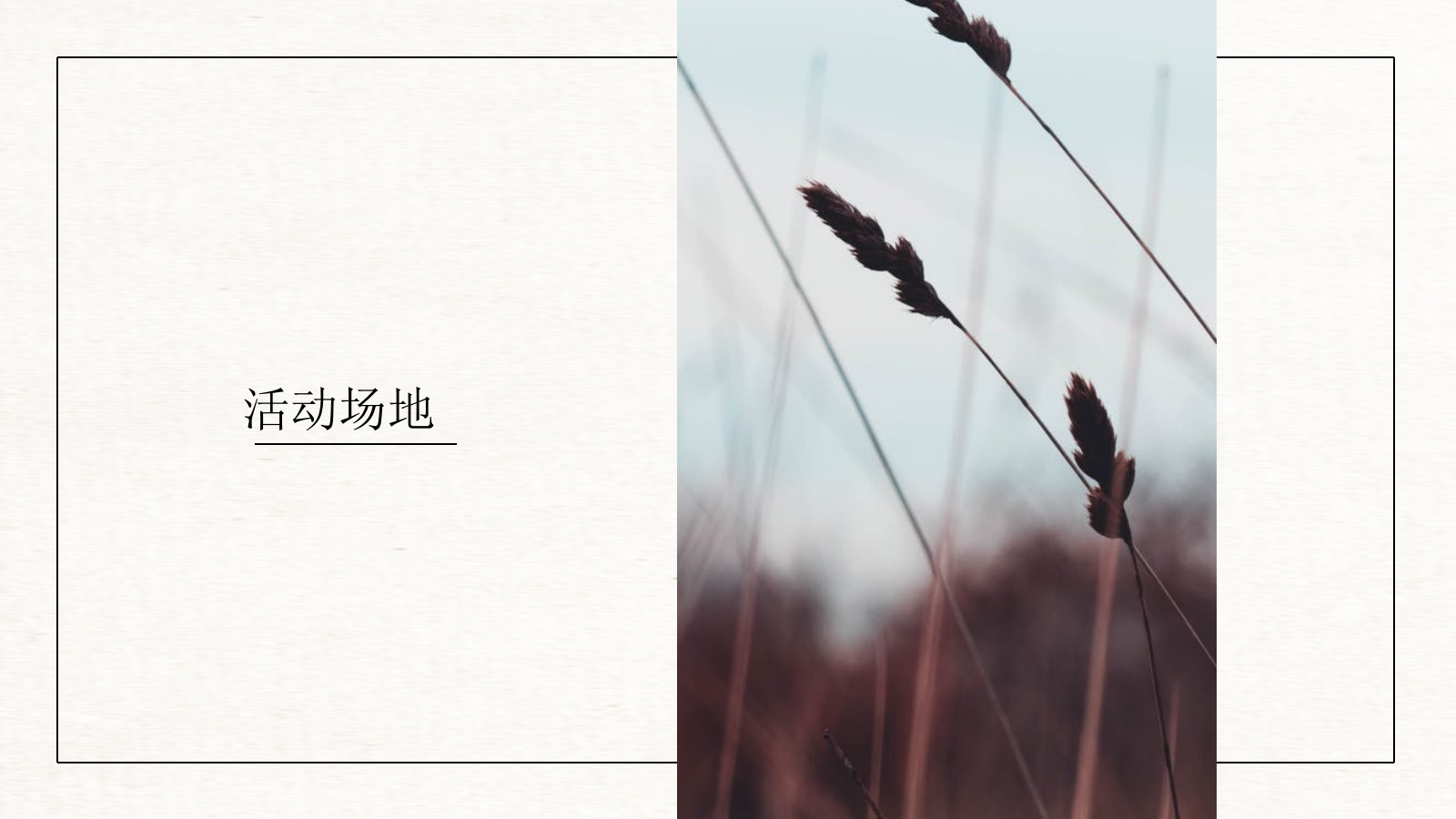 2026农趣嗨翻天向往的生活春日农耕体验公司团建活动方案.pptx_第4页