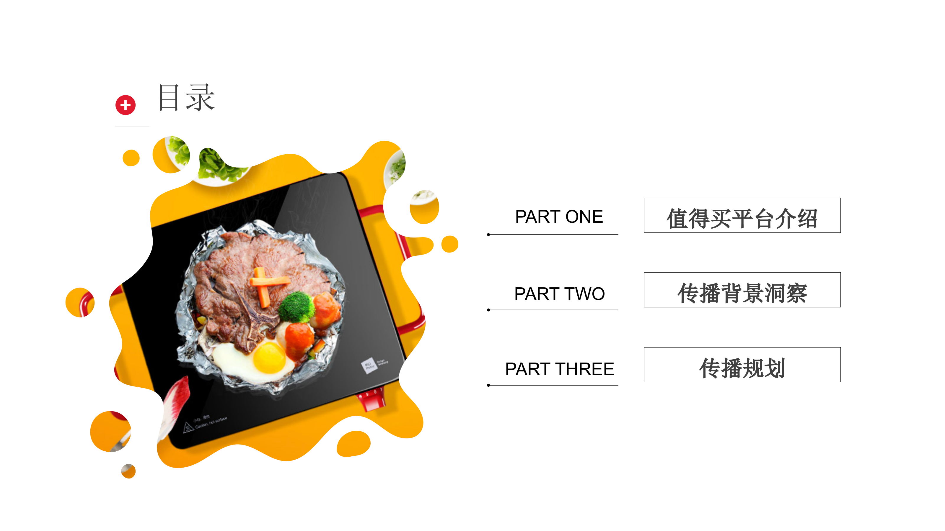 2025德国米技电炉值得买平台合作营销推广方案.pptx_第2页