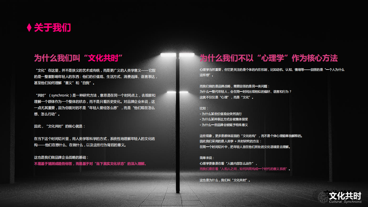 文化共时 朱翊：2026年年轻人正陷入意义危机白皮书.pdf_第3页