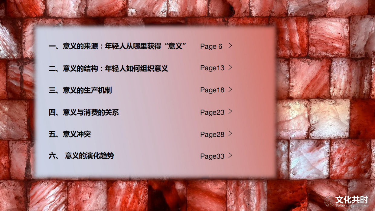 文化共时 朱翊：2026年年轻人正陷入意义危机白皮书.pdf_第5页