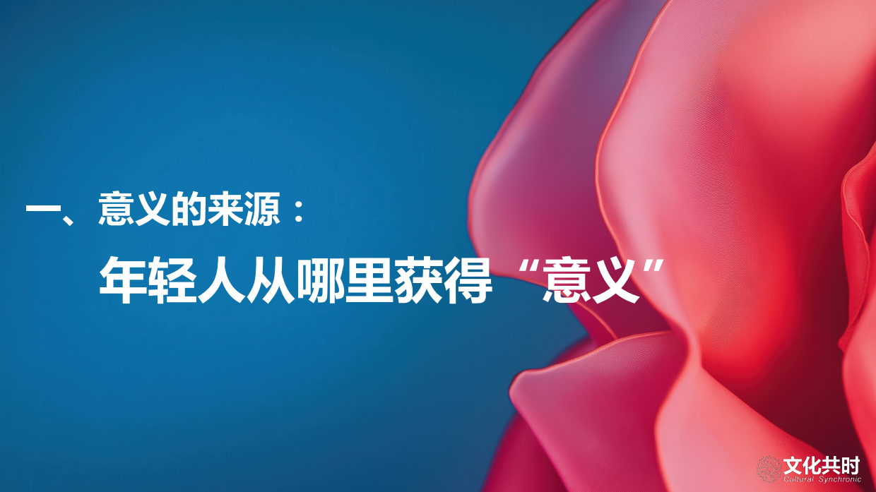 文化共时 朱翊：2026年年轻人正陷入意义危机白皮书.pdf_第6页