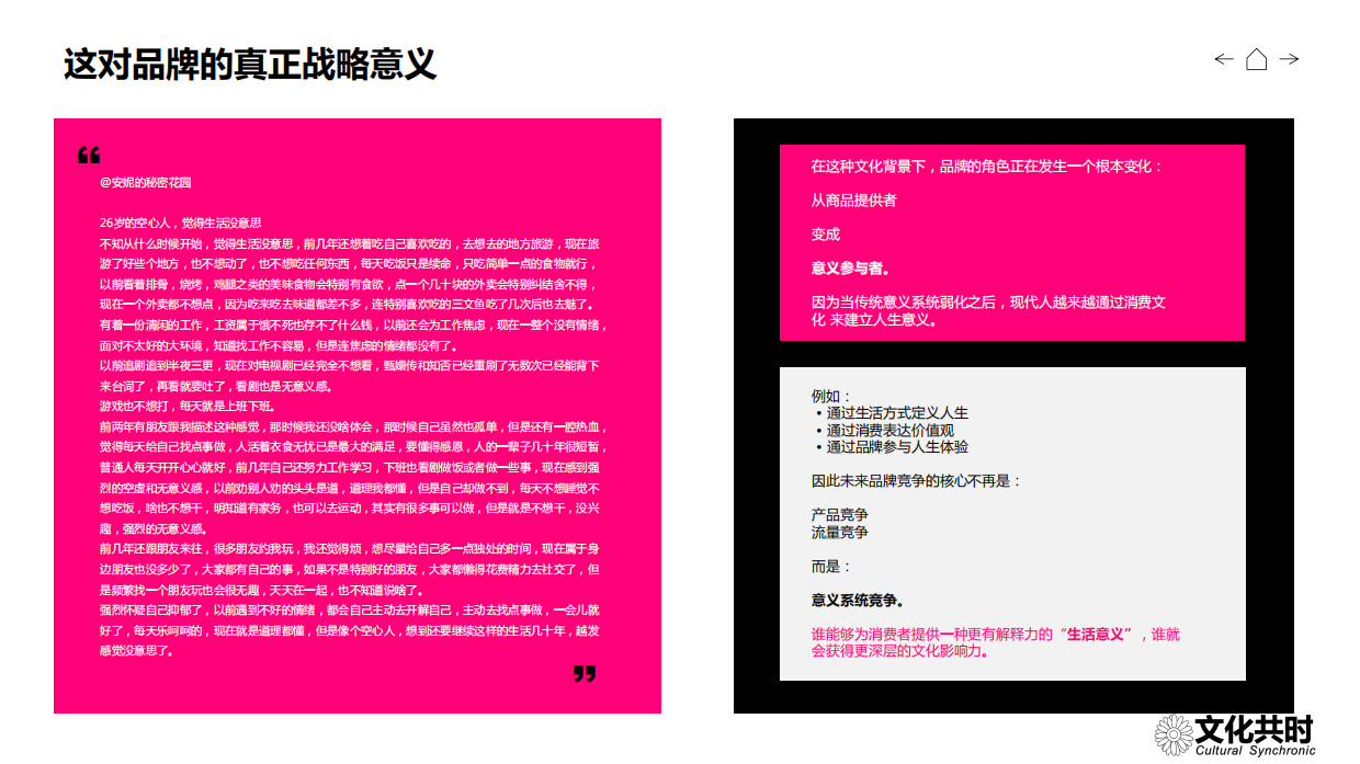 文化共时 朱翊：2026年年轻人正陷入意义危机白皮书.pdf_第9页