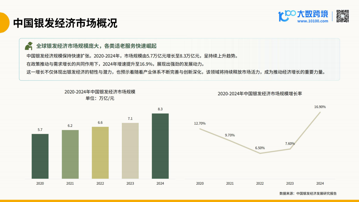 【大数跨境】2026全球老年用品市场洞察报告.pdf_第8页