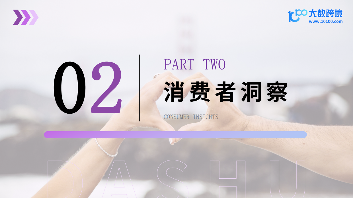 【大数跨境】2024成人情趣用品市场洞察报告.pdf_第10页