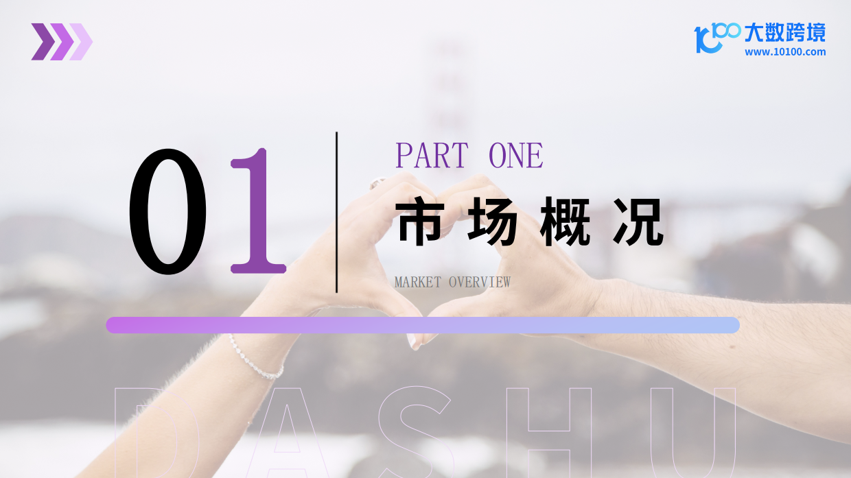 【大数跨境】2024成人情趣用品市场洞察报告.pdf_第4页