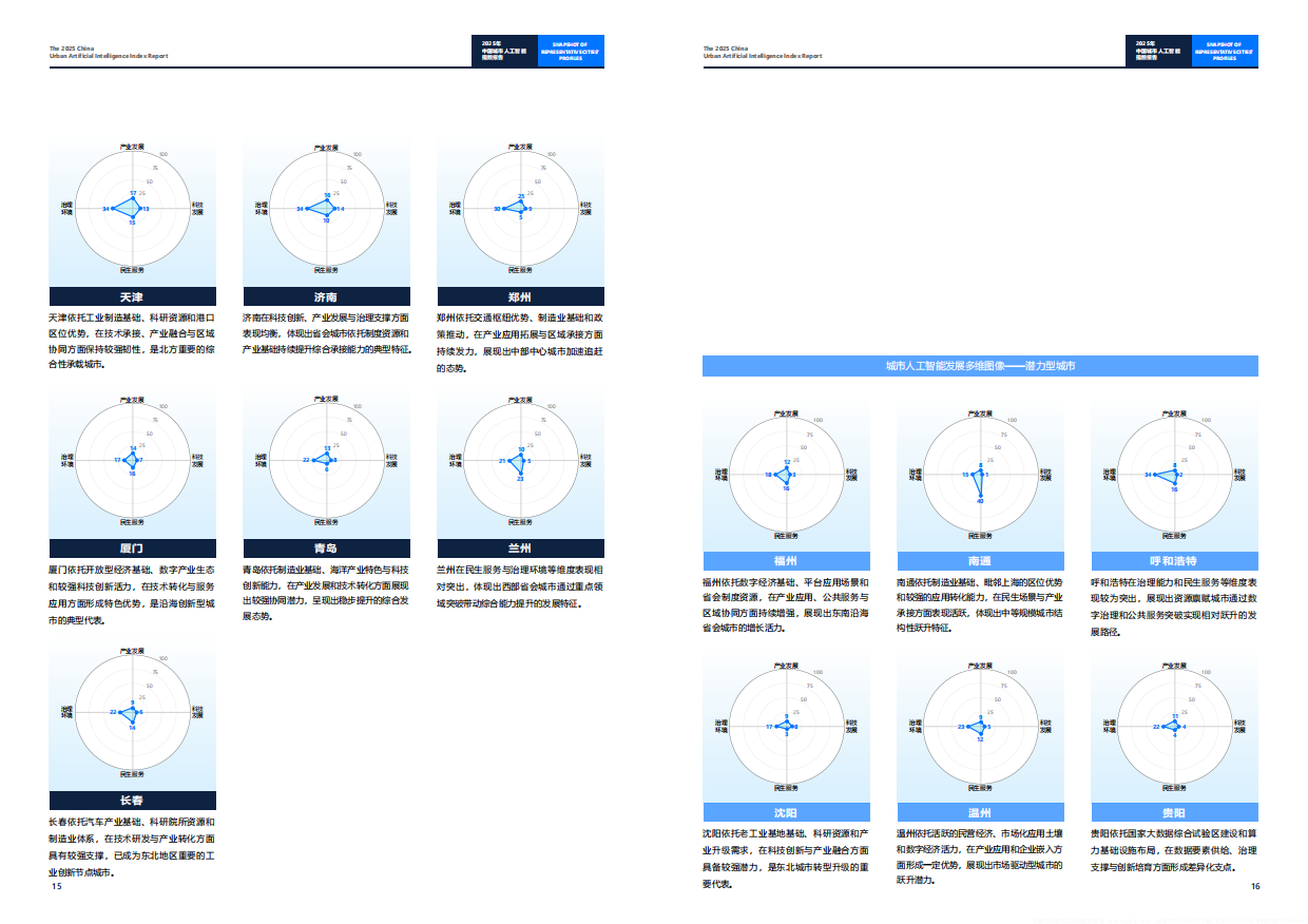 2025年中国城市人工智能指数报告-北电数智研究院.pdf_第10页