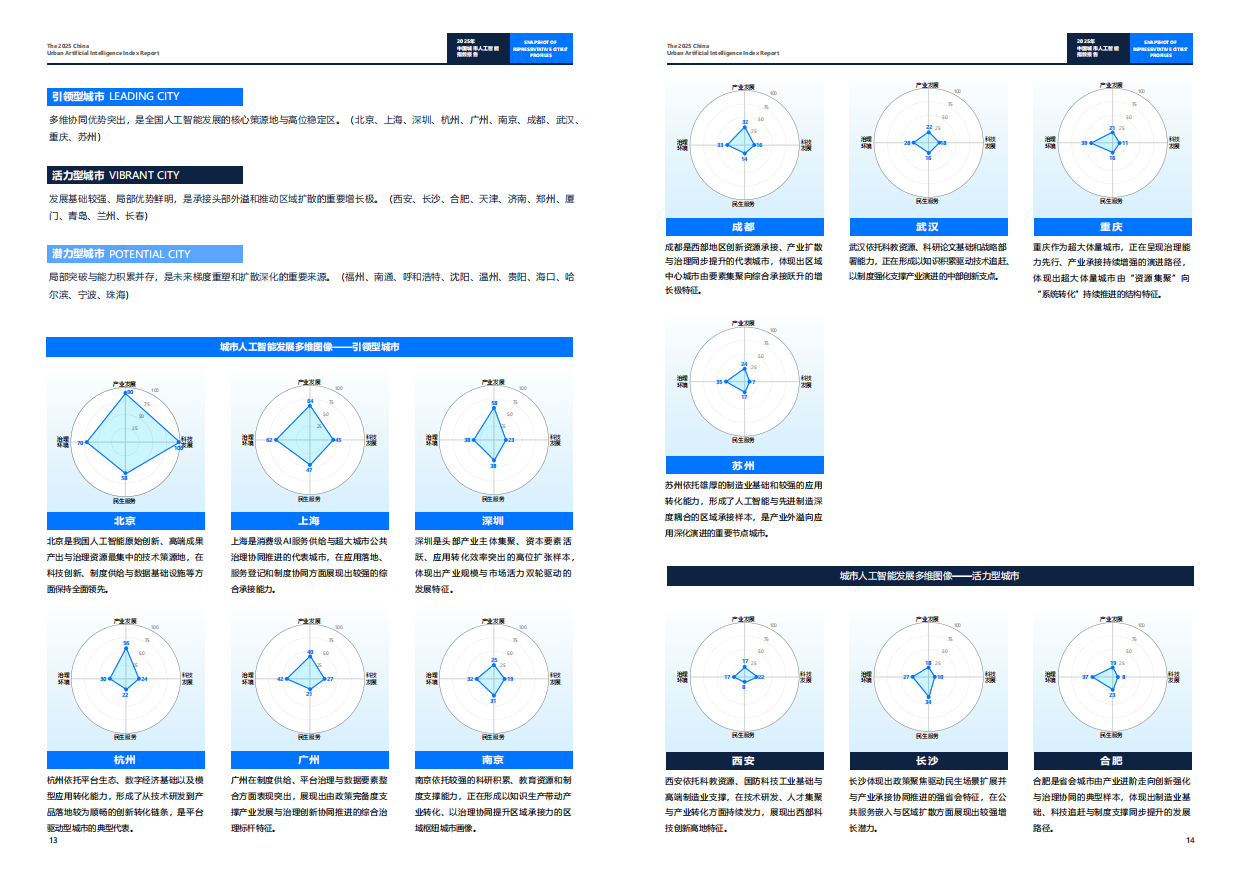 2025年中国城市人工智能指数报告-北电数智研究院.pdf_第9页