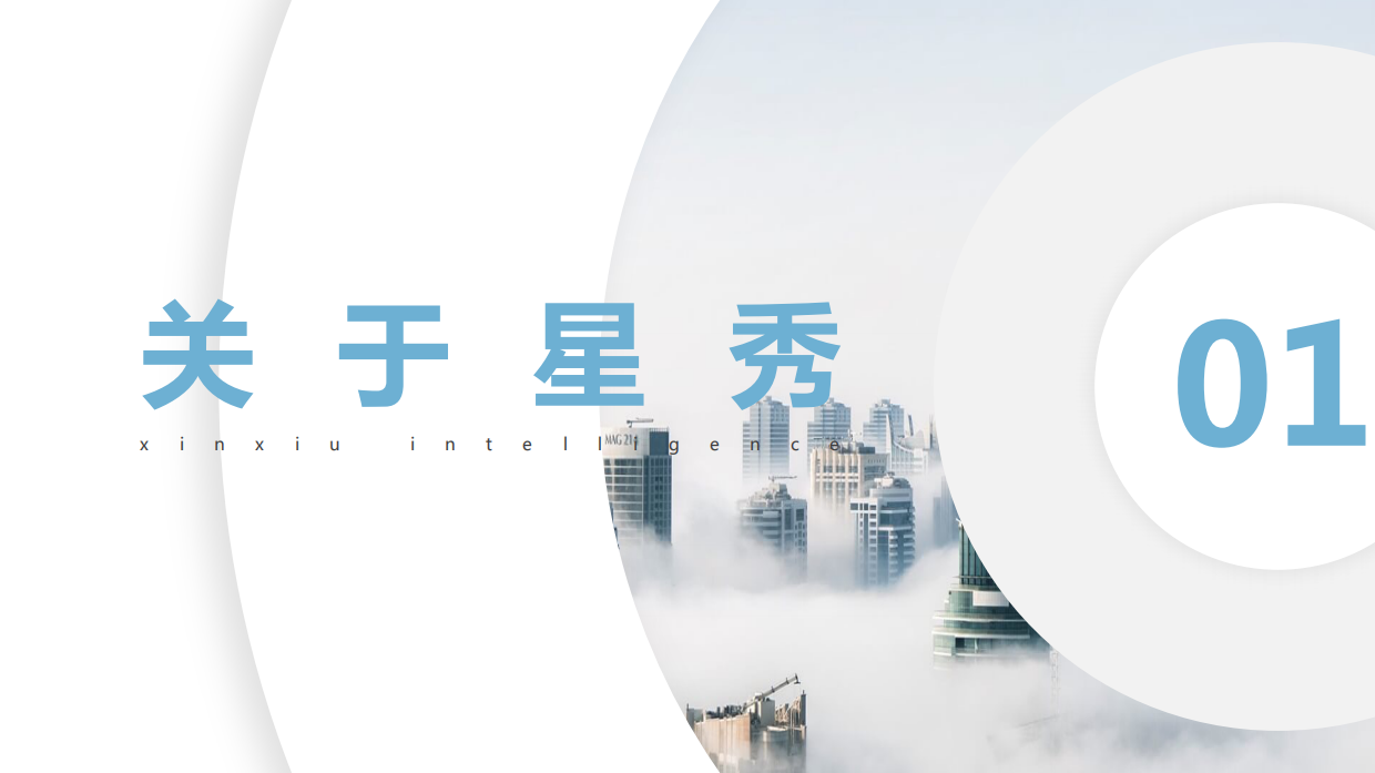 星秀抖音营销手册.pdf_第3页