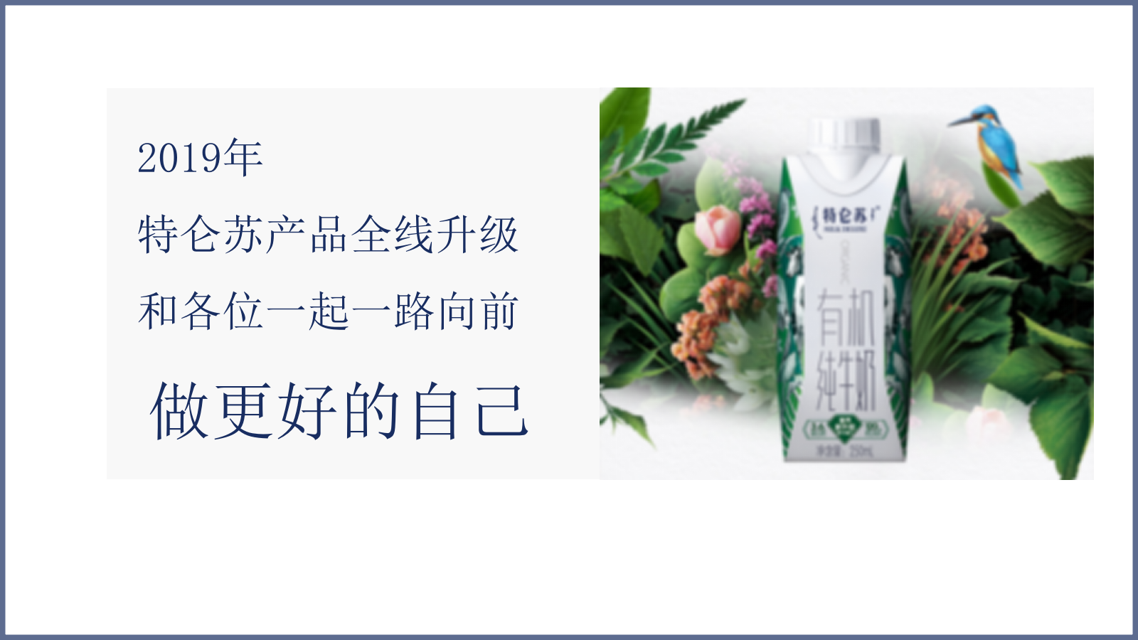 2019蒙牛特仑苏抖音营销方案.pptx_第3页