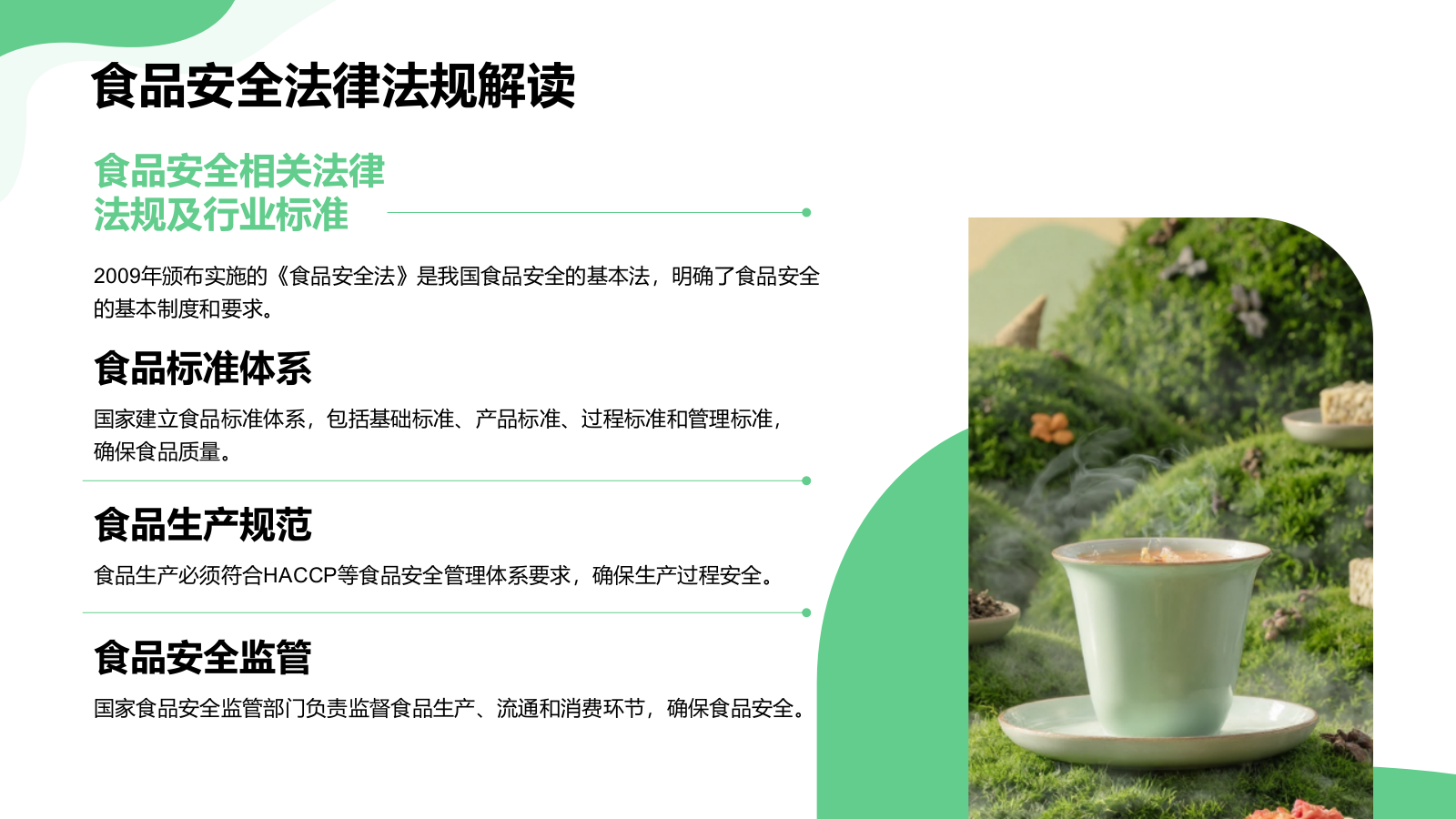 绿色商务风食品安全与健康生活PPT模板.pptx_第5页