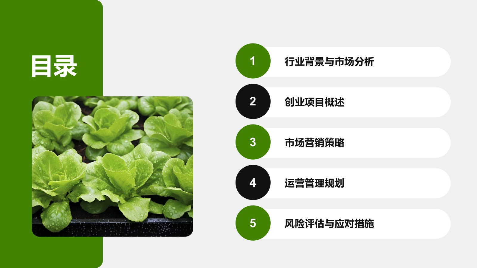 绿色商务风智慧农业创业计划书 PPT模板.pptx_第2页