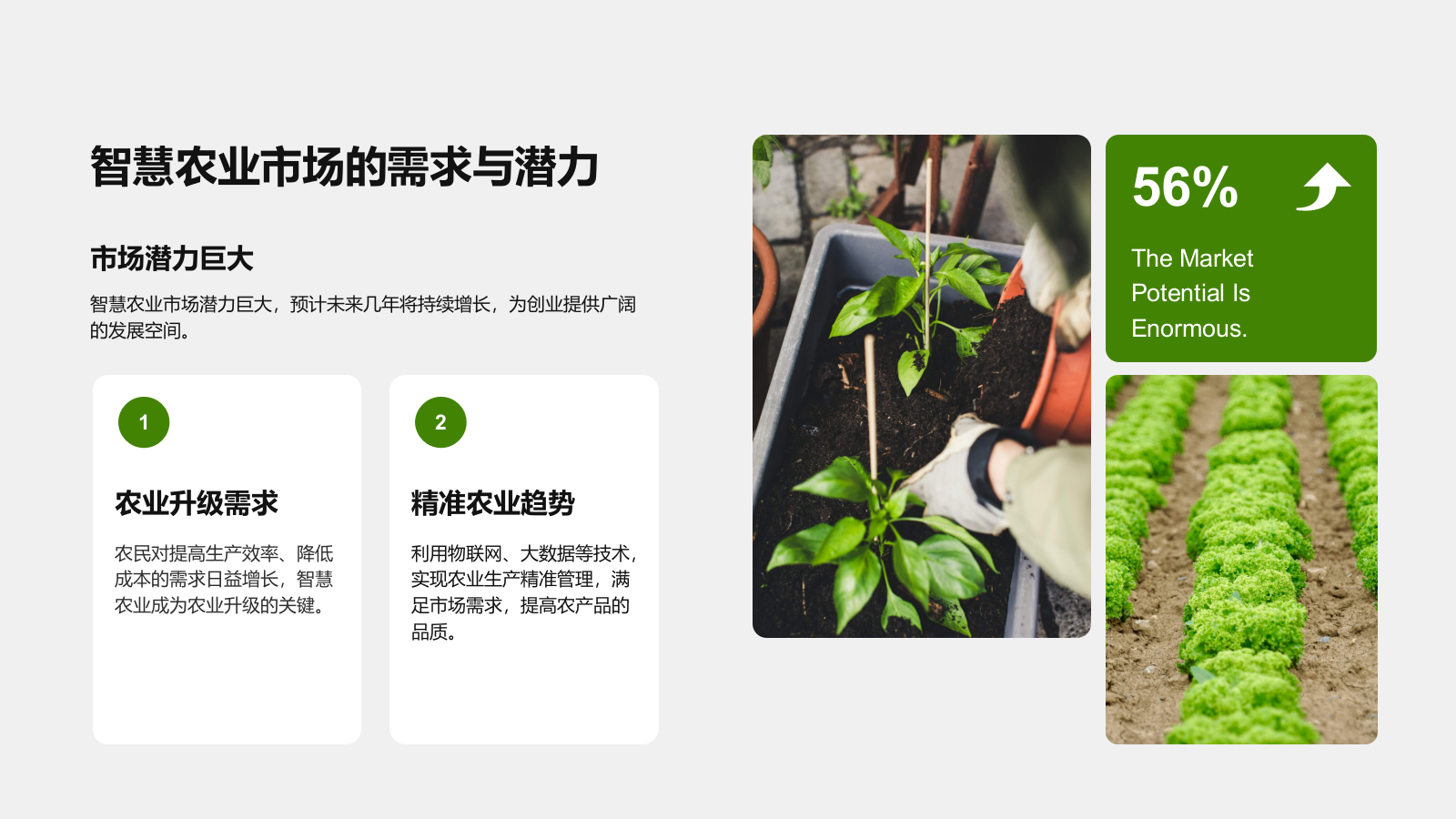 绿色商务风智慧农业创业计划书 PPT模板.pptx_第4页