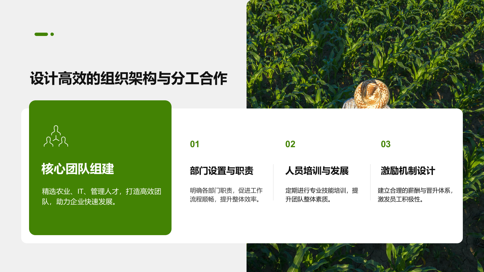 绿色商务风智慧农业创业计划书 PPT模板.pptx_第9页