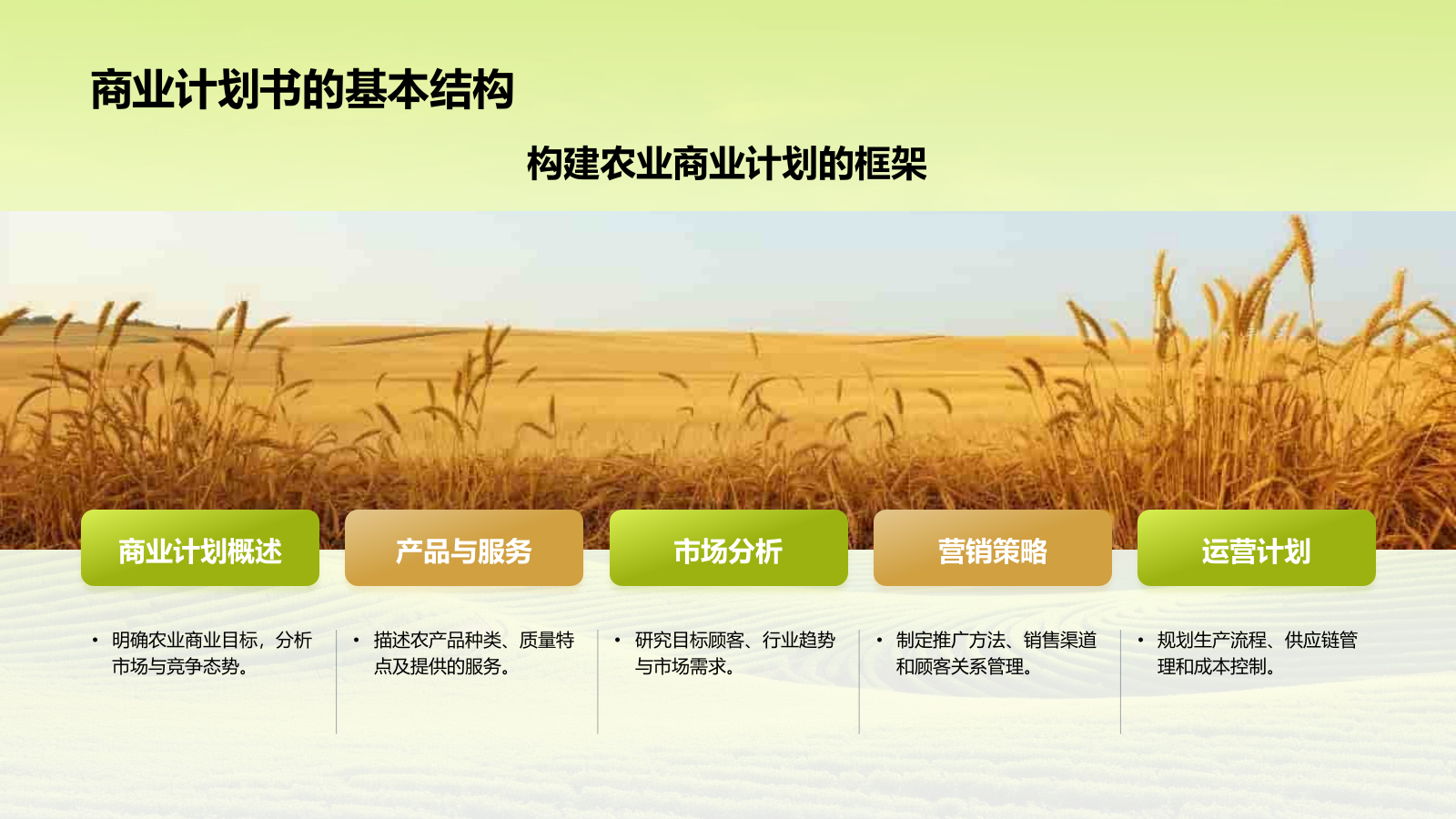 绿色摄影风农业商业计划书PPT模板.pptx_第5页