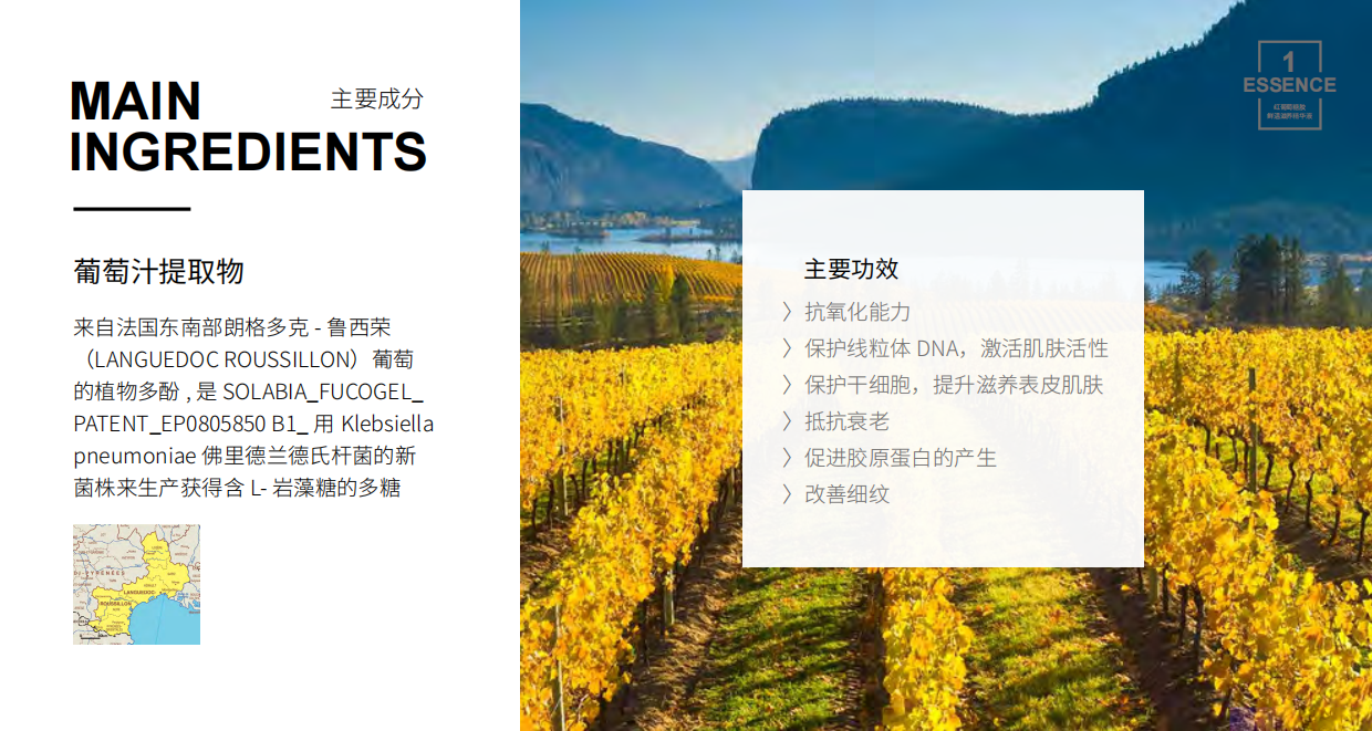 红葡萄糖胶鲜活滋养系列.pdf_第6页