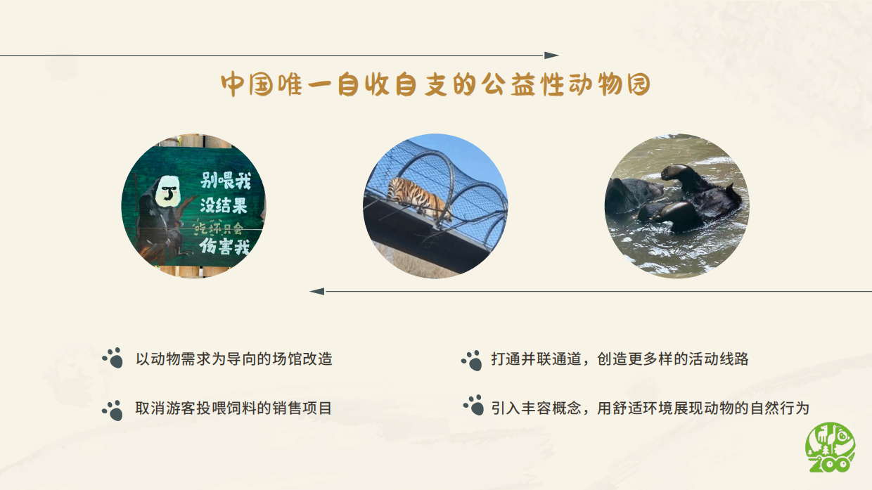 南京红山森林动物园 IP介绍.pdf_第10页