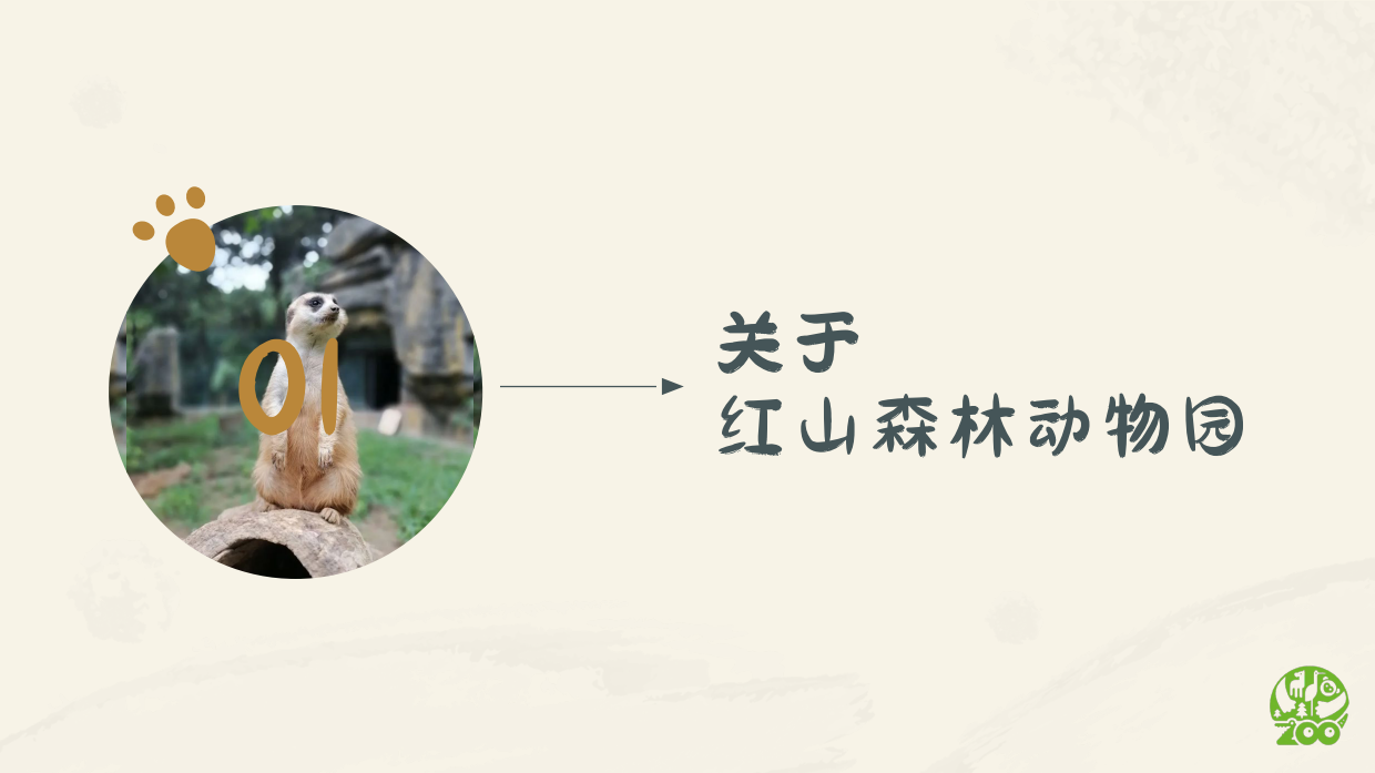 南京红山森林动物园 IP介绍.pdf_第3页