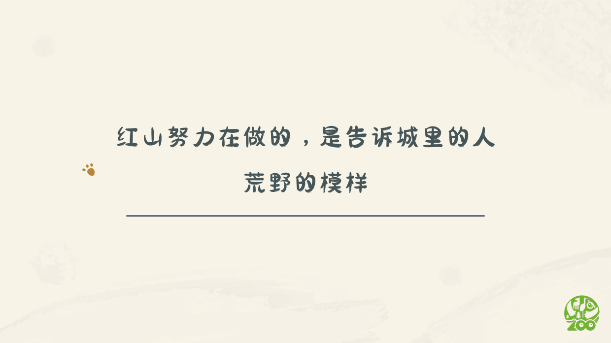 南京红山森林动物园 IP介绍.pdf_第4页