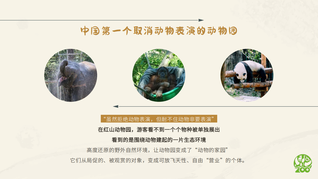 南京红山森林动物园 IP介绍.pdf_第9页