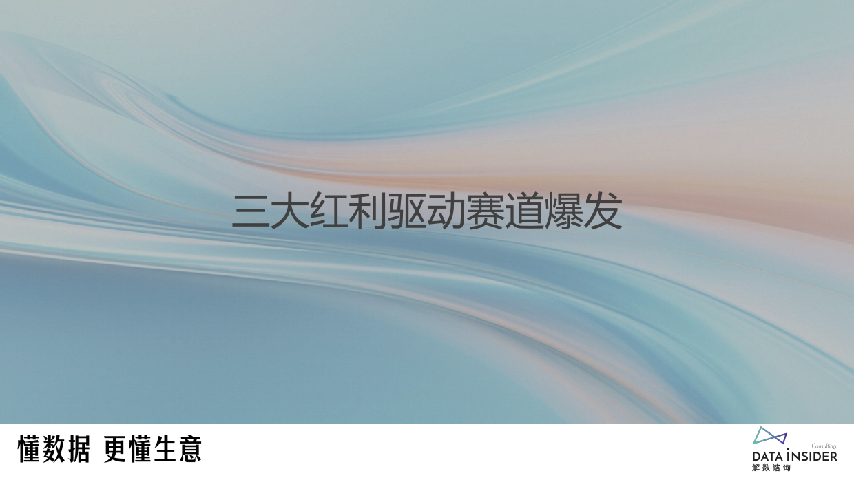 2026宠物保健品行业分析派迪诺品牌拆解报告-解数咨询.pdf_第7页