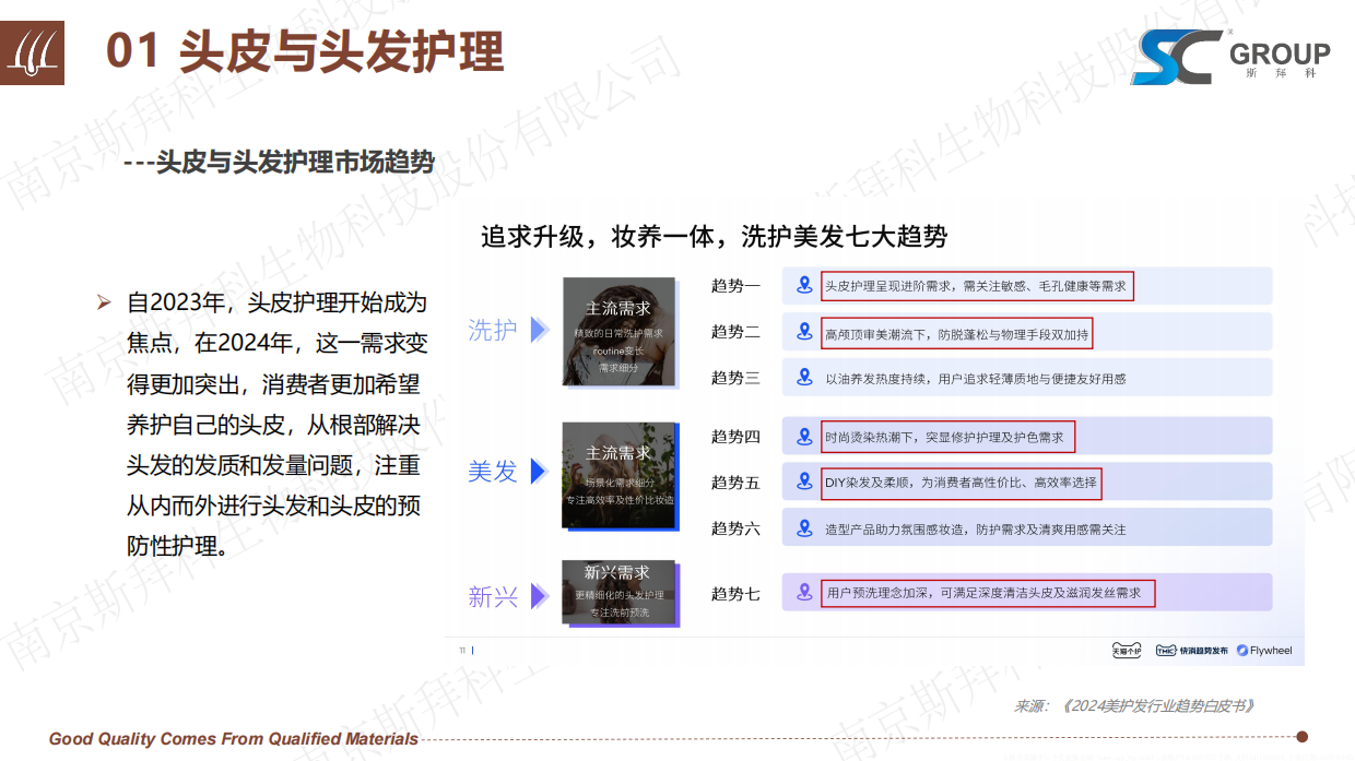 2026头皮健康与头发护理报告-斯拜科集团.pdf_第10页