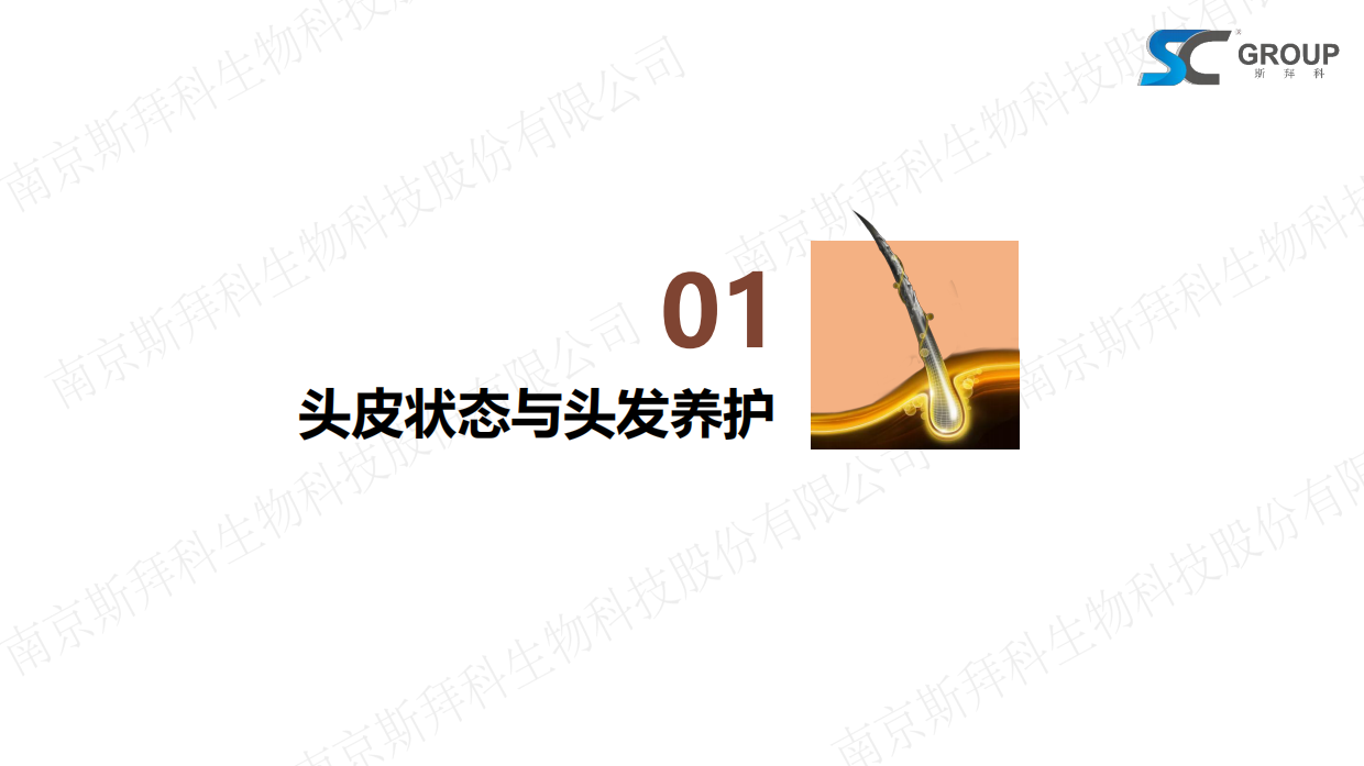2026头皮健康与头发护理报告-斯拜科集团.pdf_第3页
