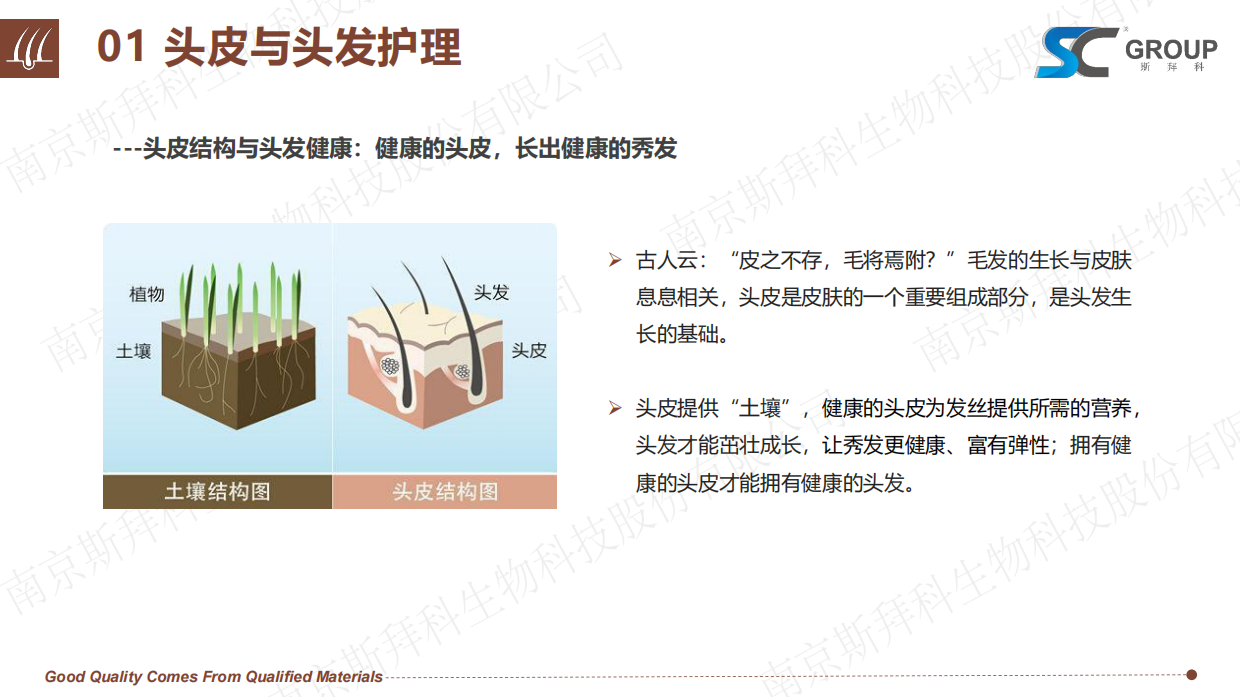 2026头皮健康与头发护理报告-斯拜科集团.pdf_第4页