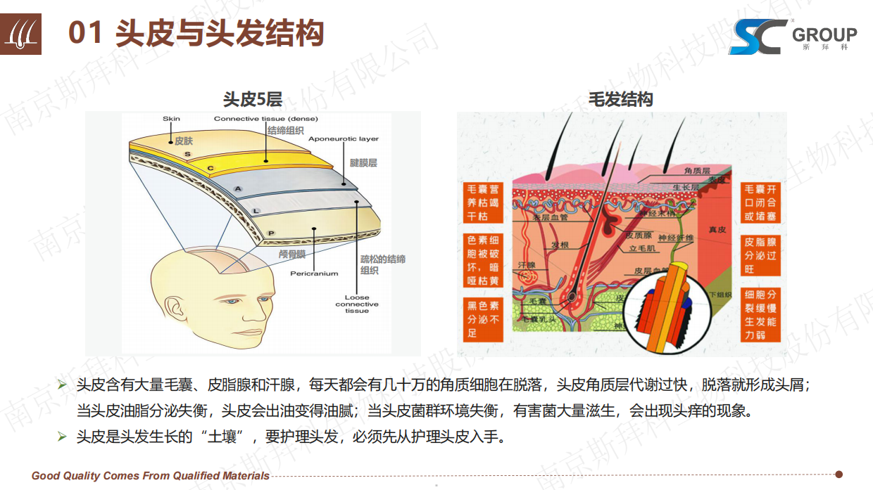 2026头皮健康与头发护理报告-斯拜科集团.pdf_第5页