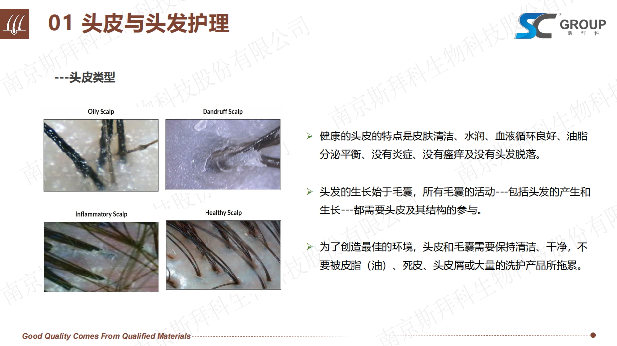 2026头皮健康与头发护理报告-斯拜科集团.pdf_第6页