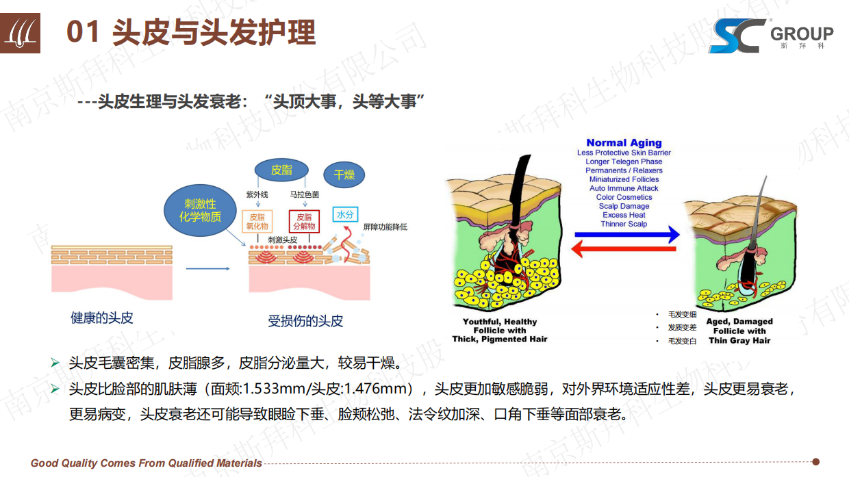 2026头皮健康与头发护理报告-斯拜科集团.pdf_第7页