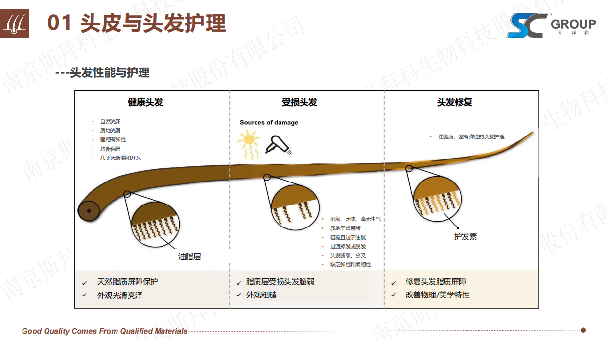 2026头皮健康与头发护理报告-斯拜科集团.pdf_第8页