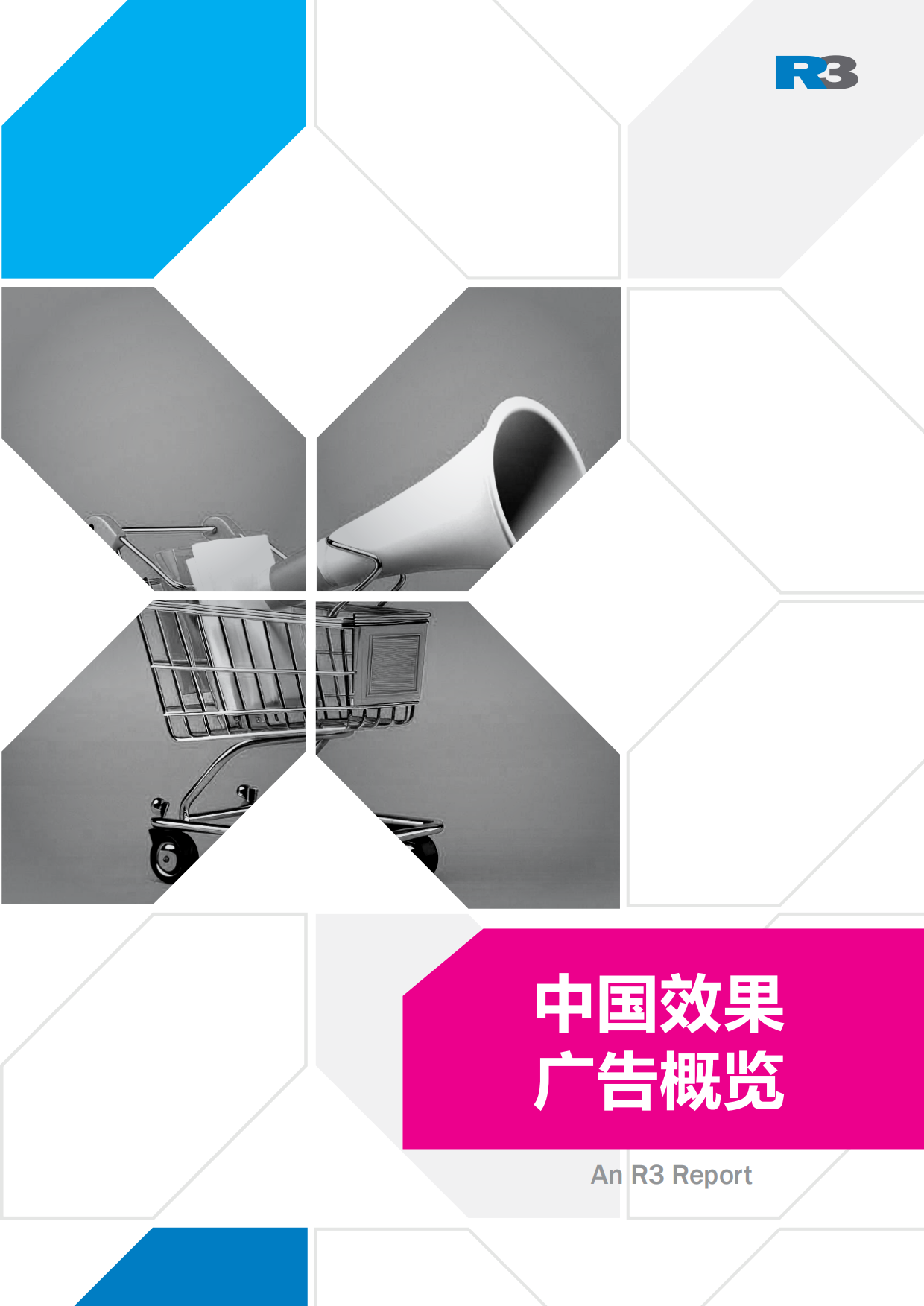 胜三：2024中国效果广告概览报告.pdf_第1页