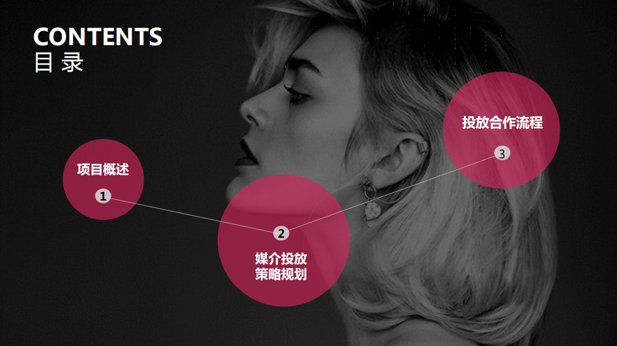 唯品会-社会化媒体广告投放方案（29页）.pdf_第2页