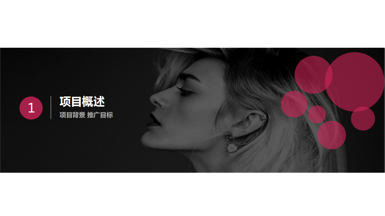 唯品会-社会化媒体广告投放方案（29页）.pdf_第3页