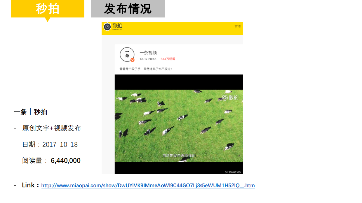 一条x惠氏启赋 10月 视频定制及投放合作结案报告.pdf_第9页